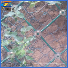 Factory Price Diamond Wire Mesh for Slope Protection